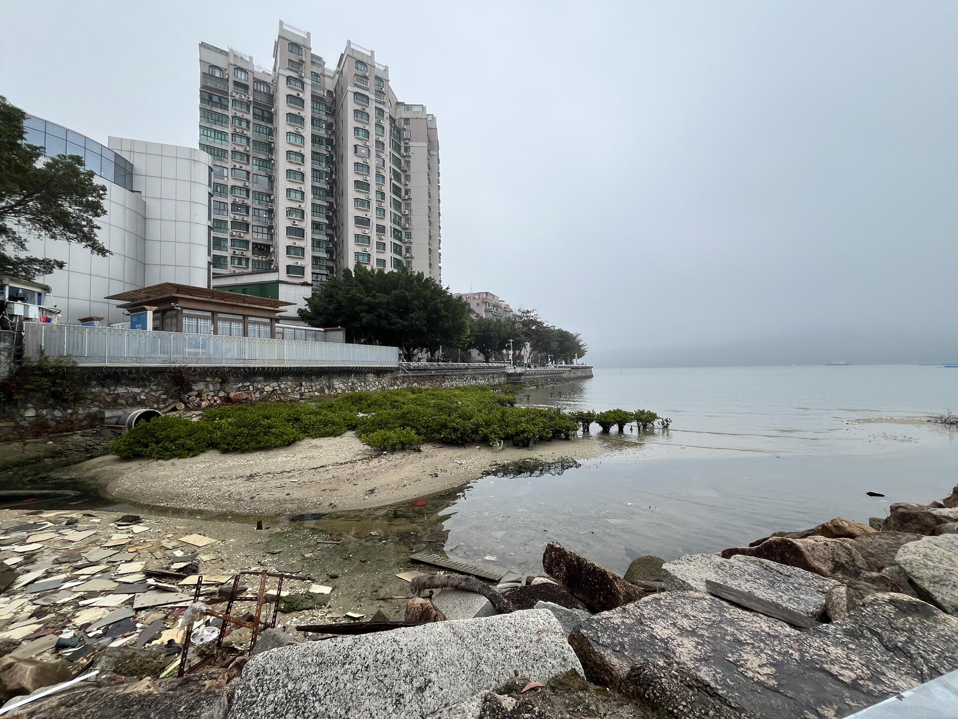 入海口，对面近处是深圳侧的沙头角博物馆